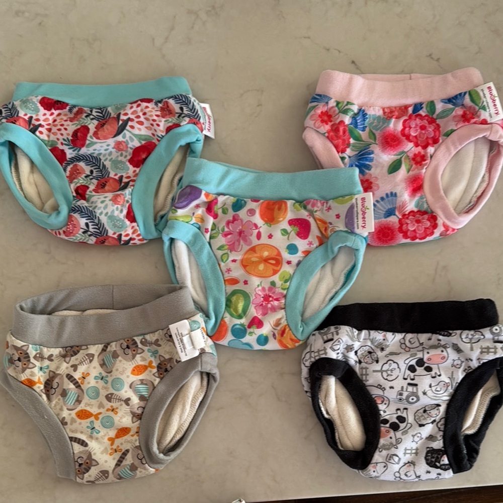 Blueberry Diapers Training Pants, Set of 5, size Small (20-28 lbs)